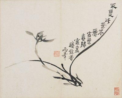 Landschaften, Blumen und Vögel: Orchidee, Qing-Dynastie, 1780 von Luo Ping